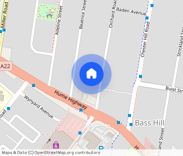 9 Orchard Road, 2197, Bass Hill Nsw - Photo 1