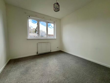 54 Everard Drive - Photo 4