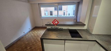 Location Appartement 1 pièce 20m² GRENOBLE 38000 - Photo 2