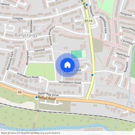 12 Limetree Close, Antrim, BT41 1NR