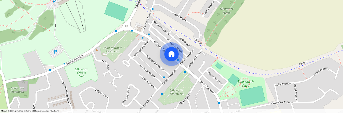 Warwick Terrace, Sunderland, SR3