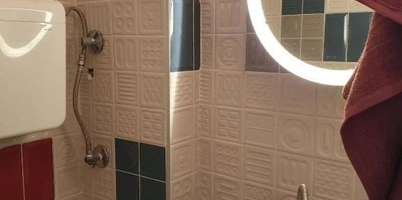 Garsoniera de inchiriat zona 15 Noiembrie - Fotografie 3