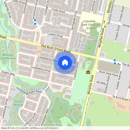 8 Castlederg Drive, Flat Bush, Manukau City