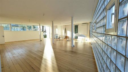 Lugano, luminoso 3,5 con giardino condominiale - Foto 4