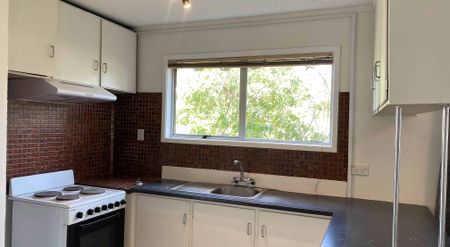 3 Bedrooms on Mataroa Rd - Photo 3