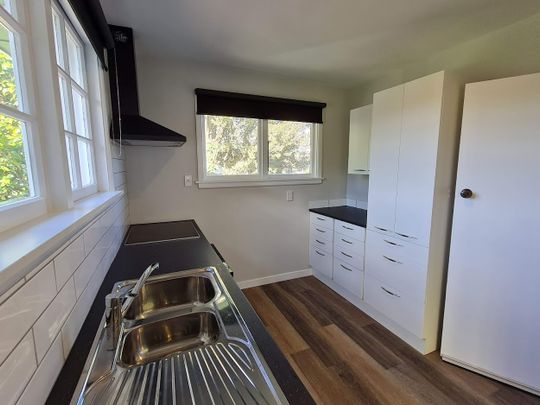 12 Lothian Street, Ilam - Photo 1