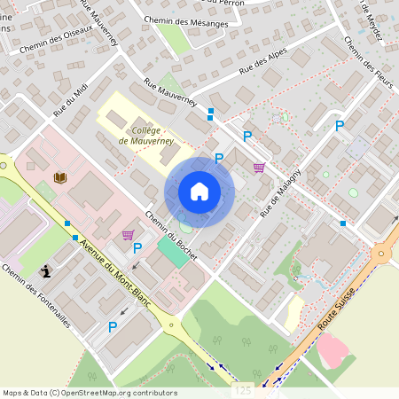 Chemin du Bochet 8a, 1196 Gland