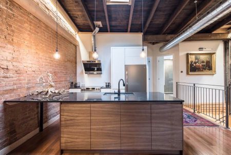 Rue Cherrier, H2L 1H6, Montréal - Photo 4