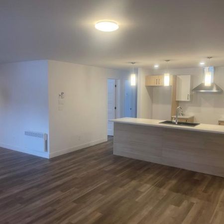 3 CH - 2 SDB - Waterloo - $1,550 /mo - Photo 3