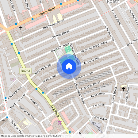 Plasnewydd Road, Roath, Cardiff, CF24