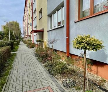 Bielsko-Biała, Osiedle Kopernika Mieszkanie na wynajem - Фото 1