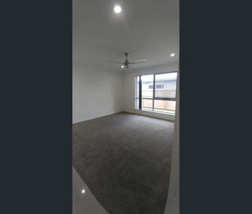 11 Bailey Court, Ormeau - Family Home Available 15 November | $730 ... - Photo 1