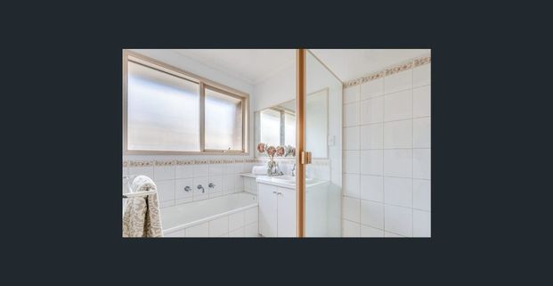 Timbarra Treasure - Photo 1