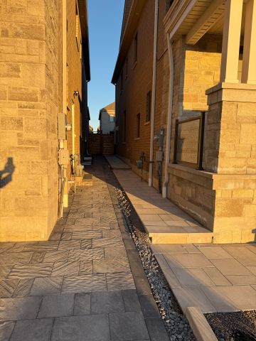 For Lease - 7 Louise Crescent Unit# Lower, Whitby, Ontario - Photo 5