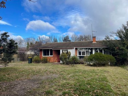 17 Dooring Street, Dickson ACT 2602 - House For Rent | Domain - Photo 4