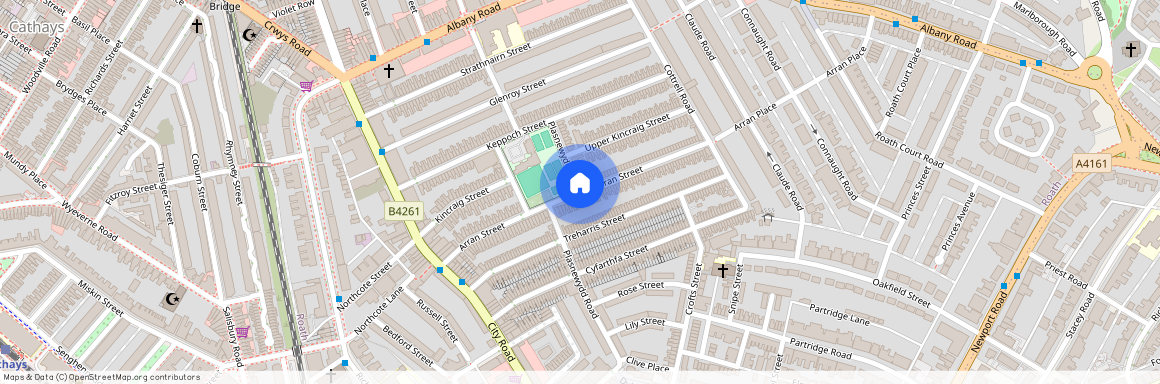 Arran Street, Roath, Cardiff