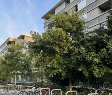 Renewal of lease – 3.5 rooms, Chavannes-près-Renens on: 01.01.2026 - Photo 6