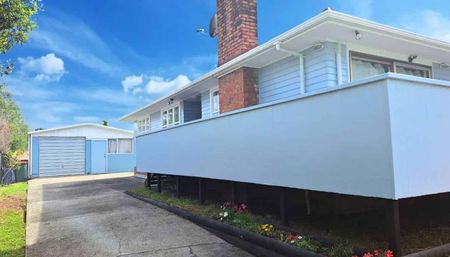 Newly Renovated Family Home - Photo 4