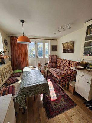 Room in a Shared House, Elllerslie Rd, W12 - Photo 1