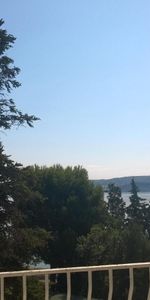 Location Appartement 3 pièces 73m² MARTIGUES 13500 - Photo 3