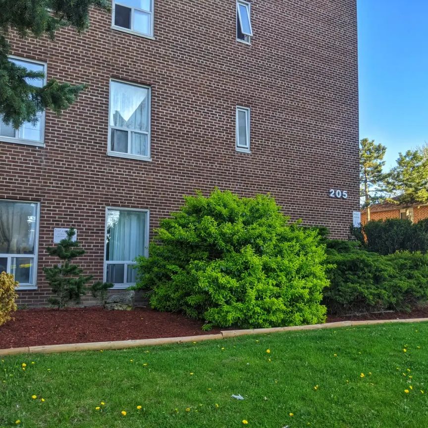 Vodden Apartments - 205 Vodden Street East — 2 Bedroom - Photo 1