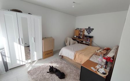 Appartement à louer 3 pièces • Sept-Sorts - Photo 4