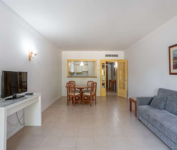 1 Bedroom Apartment, Cascais - Photo 5