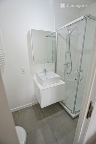 Agréable appartement 2 pièces de 54 m² au cœur de Genève - Foto 5