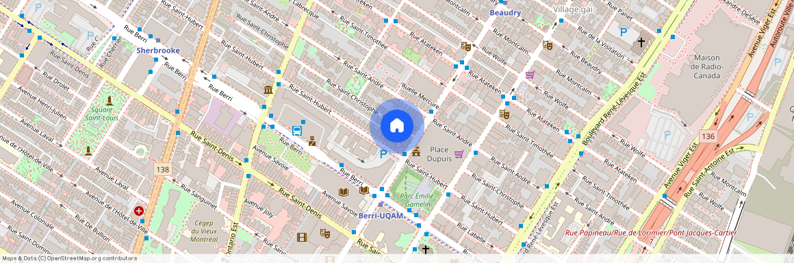 1566 rue Saint-Christophe, Ville-Marie, Quebec, H2L 3W8, Montréal, Québec H2L3W8