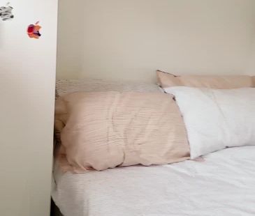 62 Meeks St, Sydney - Photo 4