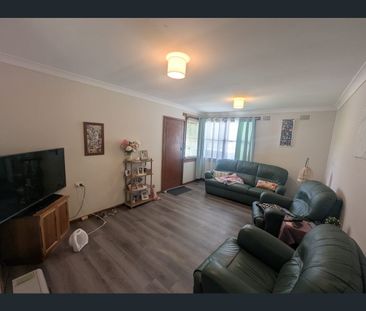 15 Queenborough Street, Nowra, NSW 2541 - Photo 3
