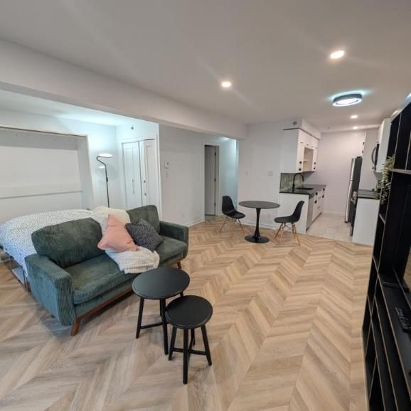 2 1/2 - Montréal (Le Plateau Mont-Royal) - 1 635 $/mois - Photo 1