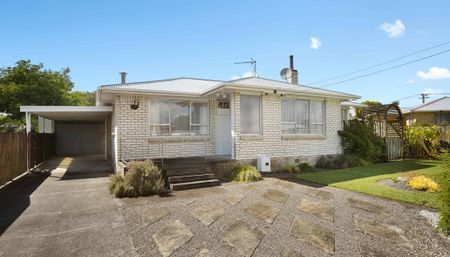 17 Jackson Street - Photo 4