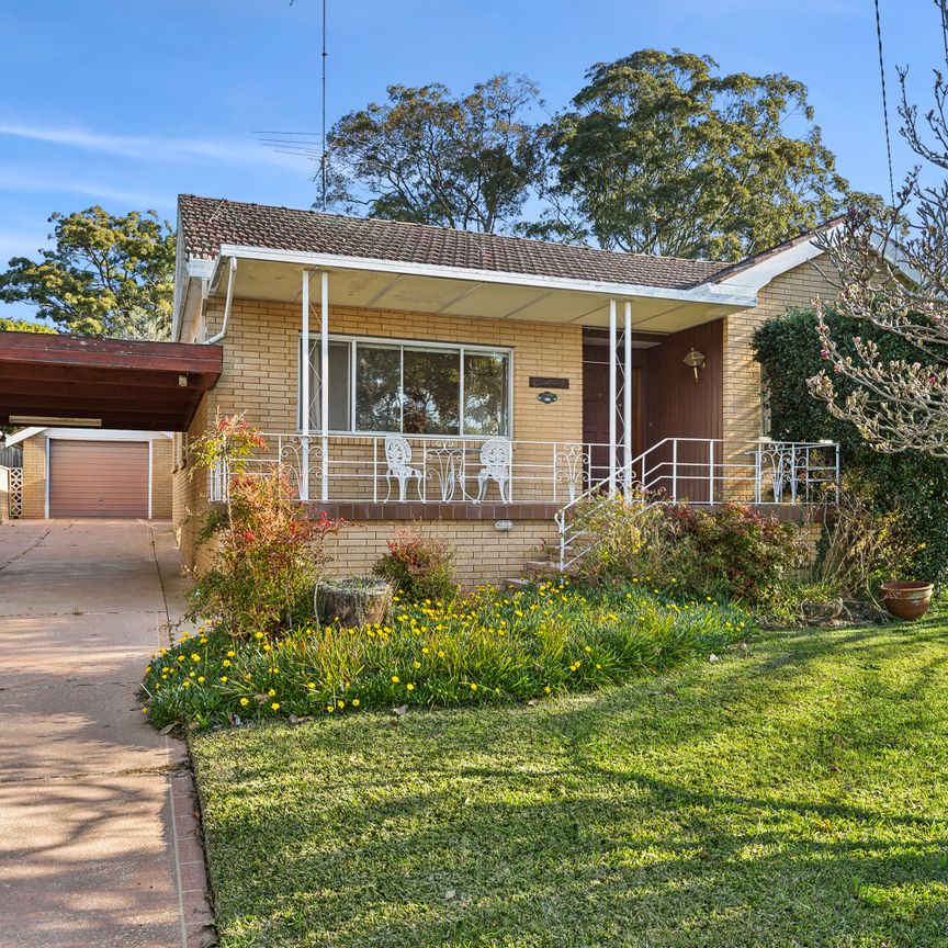 29 Ferguson Street, Forestville NSW 2087 - House For Rent | Domain - Photo 1