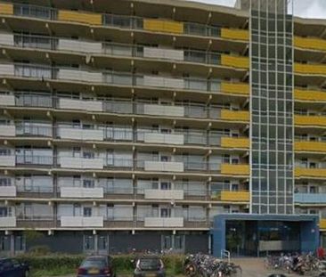 Briljantstraat 2403 Alphen aan den Rijn - Foto 3