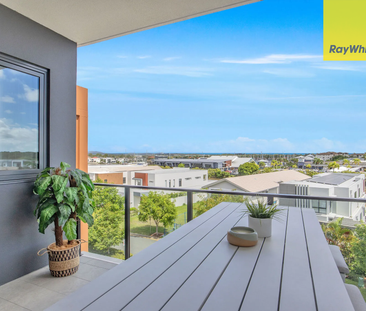 5350/53 Harbourview Drive, Hope Island QLD 4212 - Apartment For Ren... - Photo 5