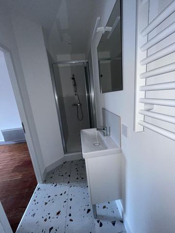 Location Appartement 1 pièce 25m² NANCY 54000 - Photo 3