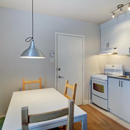 Loft entièrement meublé à louer Saint-Jean-Baptiste janvier 2026 - Photo 3