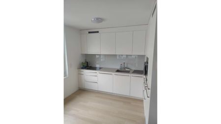 2½ Zimmer-Wohnung in Dübendorf (ZH), möbliert, auf Zeit - Photo 2