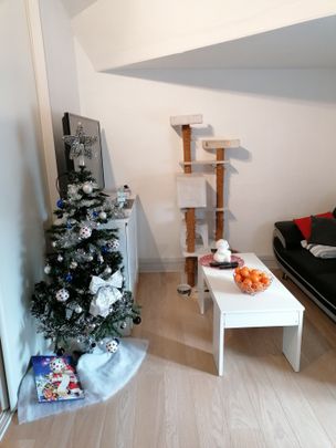 Location Appartement 1 pièce 31m² CHAZAY D AZERGUES 69380 - Photo 1