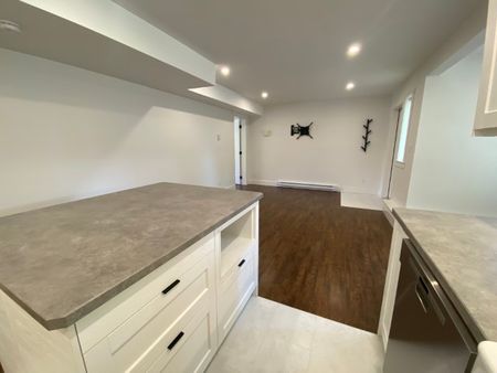 4823 Vista View Crescent – Lower - Photo 4