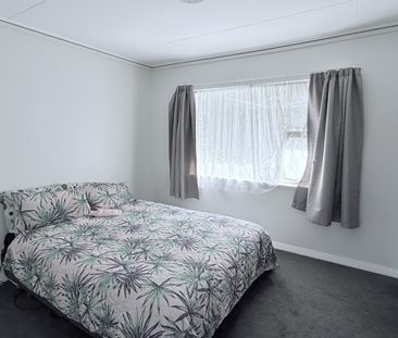 3 Maori Road, City Centre (Dunedin) - Photo 6