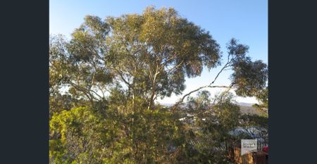 Perfectly Located Sunny Central Unit - Photo 5