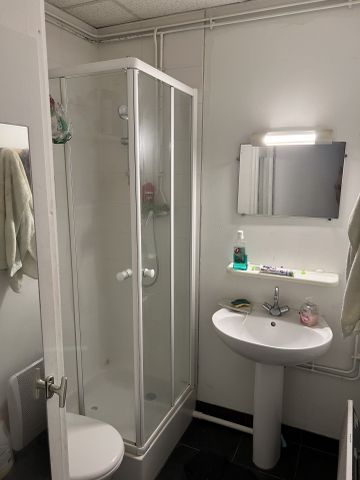 Location Appartement 1 pièce 14m² STRASBOURG 67000 - Photo 3