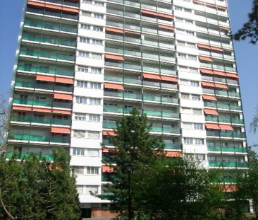 2.5 Zimmerwohnung im Lehenmattquartier - Photo 4