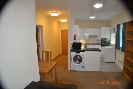 1 Bed Flat, Woodhouse Street, LS6 - Photo 2