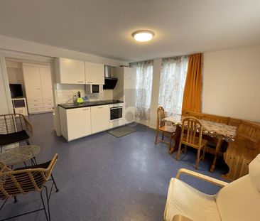 MÖBLIERT, RENOVIERT UND SOFORT VERFÜGBAR - Photo 1