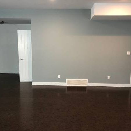 Basement Rental - Photo 3