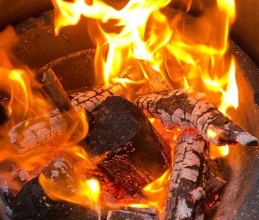 Canterbury - Photo 3