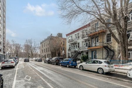 Condo for rent, Montréal (Le Plateau-Mont-Royal) - Photo 2